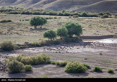 Заповедная зона водно-болотных угодий Новрузлоо в Миандоабе