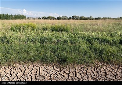 Заповедная зона водно-болотных угодий Новрузлоо в Миандоабе
