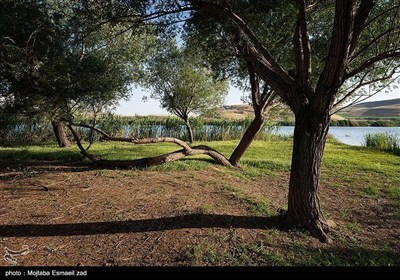 Заповедная зона водно-болотных угодий Новрузлоо в Миандоабе