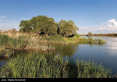 Заповедная зона водно-болотных угодий Новрузлоо в Миандоабе