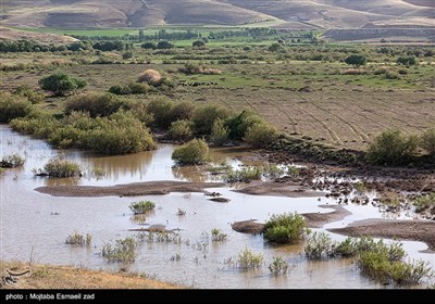 Заповедная зона водно-болотных угодий Новрузлоо в Миандоабе