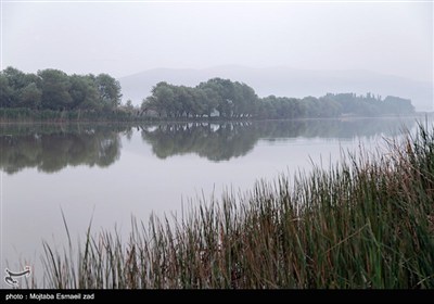 Заповедная зона водно-болотных угодий Новрузлоо в Миандоабе