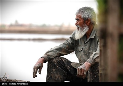 اجرای میدانی تفاهم‌نامه ستاد اجرایی و جهاد کشاورزی