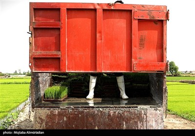 اجرای میدانی تفاهم‌نامه ستاد اجرایی و جهاد کشاورزی