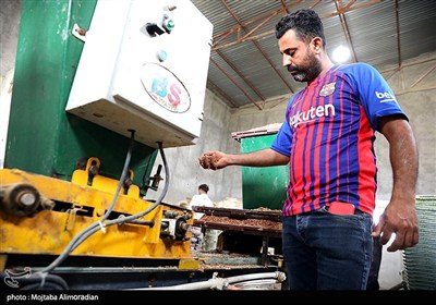 اجرای میدانی تفاهم‌نامه ستاد اجرایی و جهاد کشاورزی