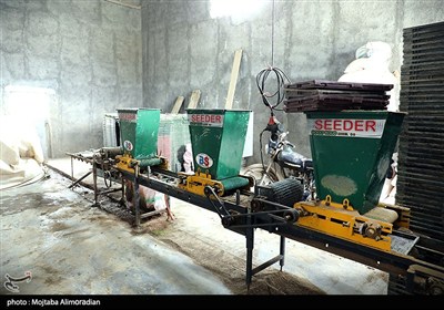 اجرای میدانی تفاهم‌نامه ستاد اجرایی و جهاد کشاورزی