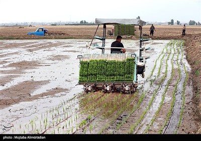 اجرای میدانی تفاهم‌نامه ستاد اجرایی و جهاد کشاورزی