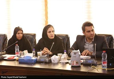 تجلیل از صنعت‌گران صنایع دستی برتر استان بوشهر