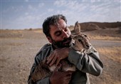 بکارگیری سلاح توسط محیط‌بان منتظر تصویب یک لایحه در صحن مجلس