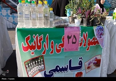 برپایی نمایشگاه اقتصاد مقاومتی در قزوین