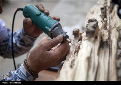 رویداد بین المللی روز جهانی چوب در کرمانشاه