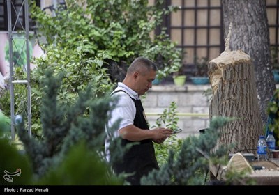 رویداد بین المللی روز جهانی چوب در کرمانشاه