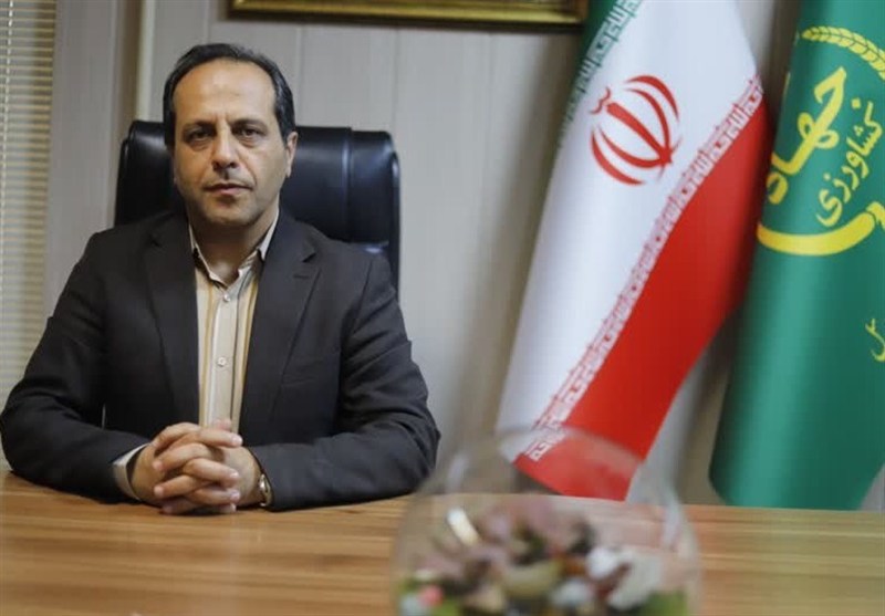 کمبودی در تولید و عرضه مرغ وجود ندارد