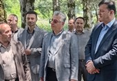 بازدید رئیس سازمان منابع طبیعی از نهالستان فندقلو