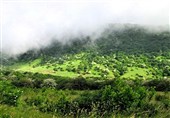 واگذاری پارک جنگلی فندقلو به سرمایه‌گذاران بخش خصوصی