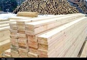 بازار چوب قم از رقابت جهانی جامانده است