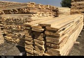 زراعت چوب در ‌700 هکتار ‌اراضی استان سمنان اجرایی شد‌