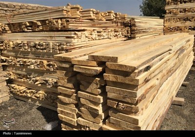 قم،صنعت،استان،تخصصي،توليد،چوب،برگزاري،فروش،درودگري،عزيزان،خا ...