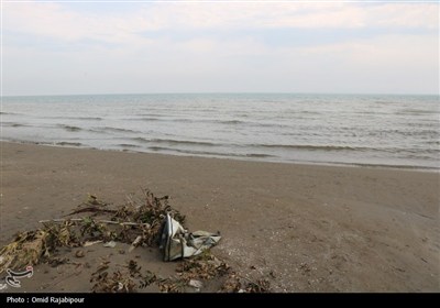 پاکسازی ساحل کلاچای به مناسبت هفته محیط زیست