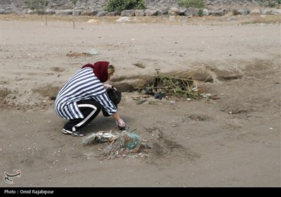 پاکسازی ساحل کلاچای به مناسبت هفته محیط زیست