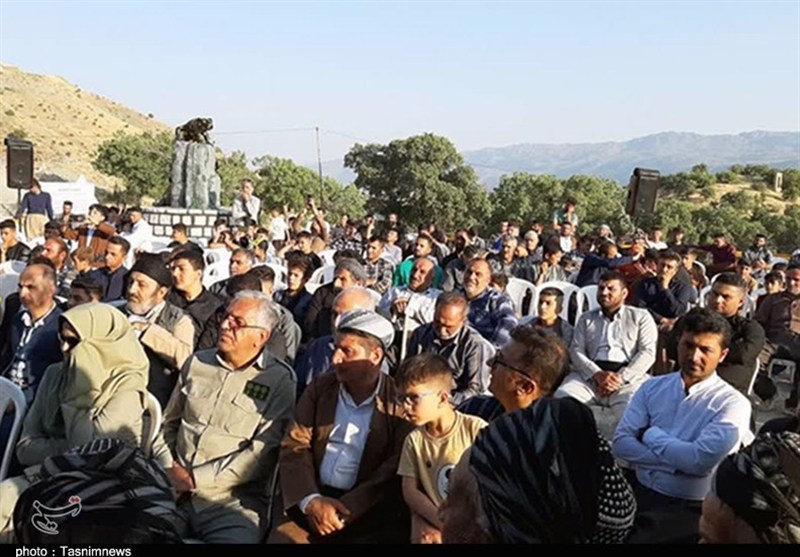 زیستگاه سمندر آتشین در گوشتخانی سروآباد+تصویر