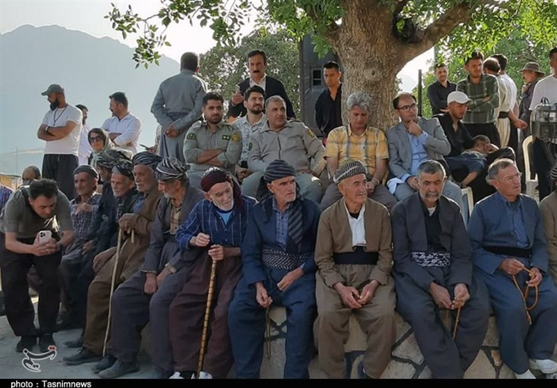 زیستگاه سمندر آتشین در گوشتخانی سروآباد+تصویر