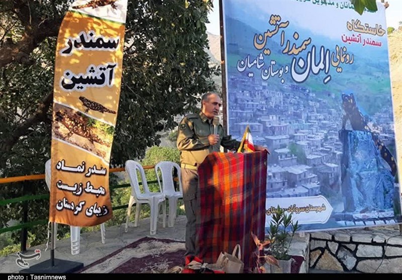 زیستگاه سمندر آتشین در گوشتخانی سروآباد+تصویر