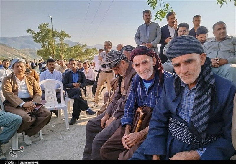 زیستگاه سمندر آتشین در گوشتخانی سروآباد+تصویر