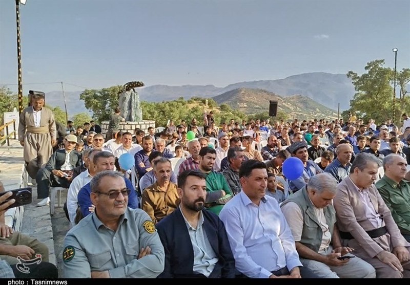 زیستگاه سمندر آتشین در گوشتخانی سروآباد+تصویر