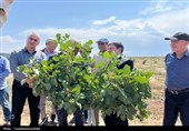 استاندار اردبیل از کشت و صنعت مغان و بزرگ‌ترین باغ غرب آسیا در ماکو بازدید کرد
