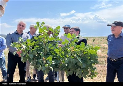 استاندار اردبیل از کشت و صنعت مغان و بزرگ‌ترین باغ غرب آسیا در ماکو بازدید کرد