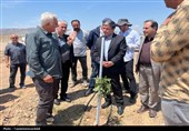 استاندار اردبیل از کشت و صنعت مغان و بزرگ‌ترین باغ غرب آسیا در ماکو بازدید کرد