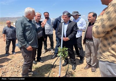 استاندار اردبیل از کشت و صنعت مغان و بزرگ‌ترین باغ غرب آسیا در ماکو بازدید کرد