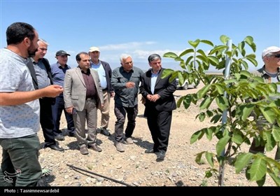 استاندار اردبیل از کشت و صنعت مغان و بزرگ‌ترین باغ غرب آسیا در ماکو بازدید کرد