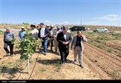 استاندار اردبیل از کشت و صنعت مغان و بزرگ‌ترین باغ غرب آسیا در ماکو بازدید کرد