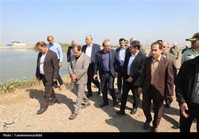 استاندار اردبیل از کشت و صنعت مغان و بزرگ‌ترین باغ غرب آسیا در ماکو بازدید کرد