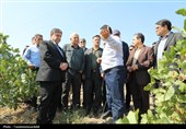 استاندار اردبیل از کشت و صنعت مغان و بزرگ‌ترین باغ غرب آسیا در ماکو بازدید کرد