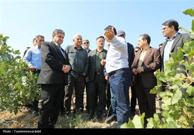 استاندار اردبیل از کشت و صنعت مغان و بزرگ‌ترین باغ غرب آسیا در ماکو بازدید کرد