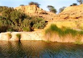 غدیر خم و مسجد مبارکی که دیگر نیست