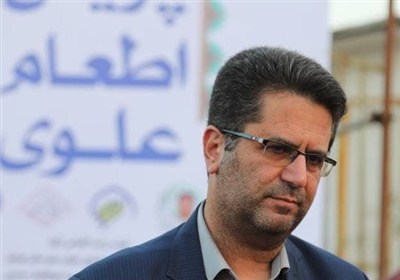 استان،بوشهر،عيد،محبي،طبخ،پرس،امامت،غدير،امداد،ولايت،توزيع