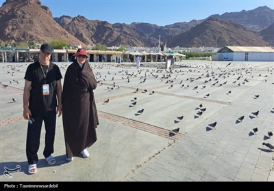 زیارت بقیع و دعای حجاج اردبیلی برای رزمندگان اسلام