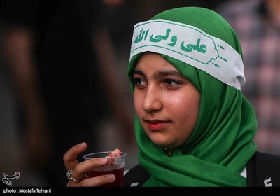 راهپیمایی ایران، ذوالفقار علی(ع) - 2