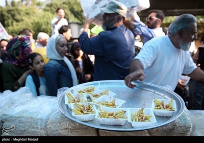 مسیرة &#171;إیران، ذو الفقار علی (ع)&#187; فی طهران