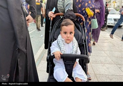 ایران ذوالفقار علی(ع)؛ حماسه‌ای بزرگ در جوار سواحل نیلگون خلیج‌فارس