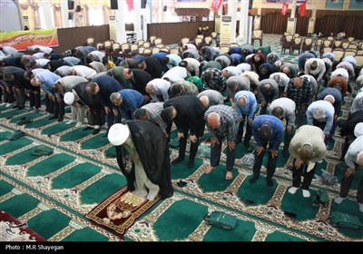 اجتماع مردمی غدیر با شعار ایران، ذوالفقار علی (ع) در بوشهر