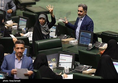 جلسه رای اعتماد وزیر پیشنهادی امور اقتصادی و دارایی