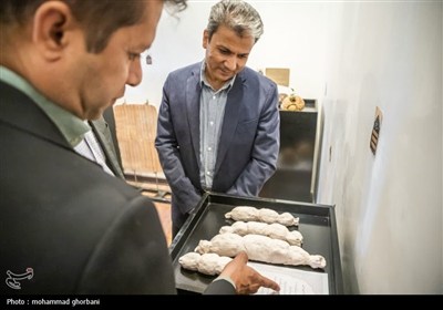 برپایی نمایشگاه &#171;نقش ماندگار&#187; به مناسبت روز جهانی صنایع دستی