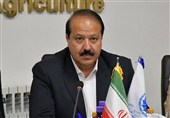 بخش خصوصی برای حفظ پایداری اقتصاد، در میدان حضور دارد