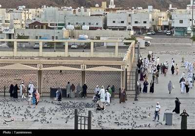 منطقه شهدای احد در مدینه منوره