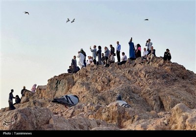 منطقه شهدای احد در مدینه منوره